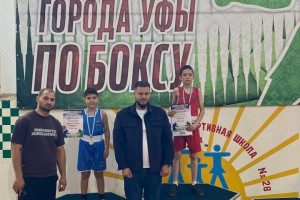Семь медалей в копилке боксеров на Первенстве города Уфы
