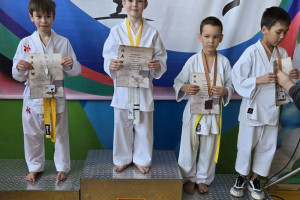21 медаль в копилке каратистов на Чемпионате Республики Башкортостан по Восточному боевому единоборству (ВБЕ)