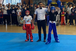 Двенадцать медалей забрали кикбоксеры на Чемпионате Республики Башкортостан