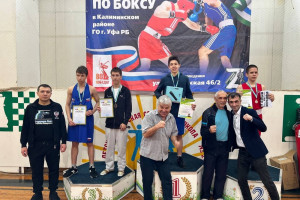 Золото, серебро и три бронзы в копилке наших боксёров