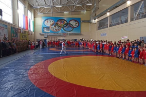 Пять медалей на республиканском турнире у Дёмских самбистов
